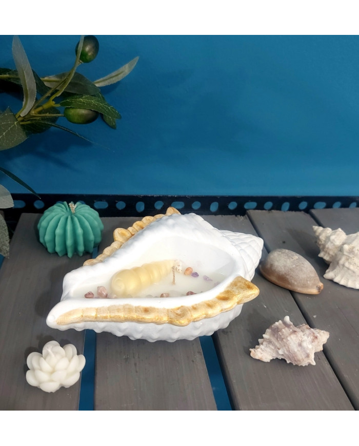 Κοχύλι κερί