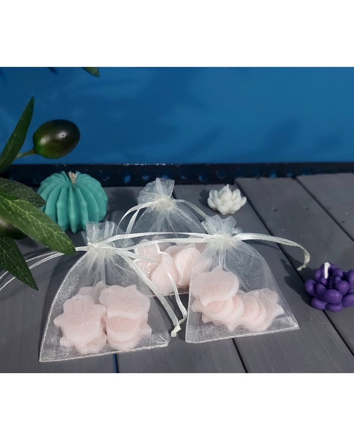 Aroma diffuser for wardrobe Hand