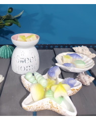 Wax Melts "Sea Theme"