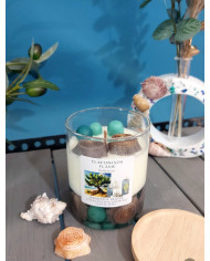 Θαλάσσιος Κέδρος