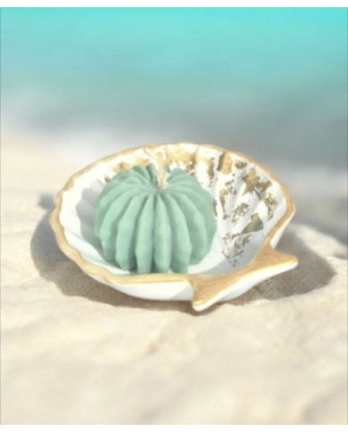 Seashell Tray