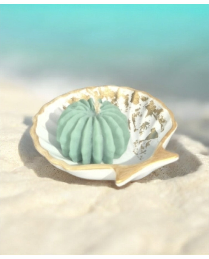 Seashell Tray