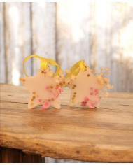 Aroma Sachet “Star”