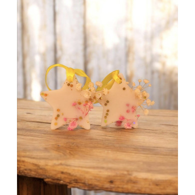 Aroma Sachet “Star”