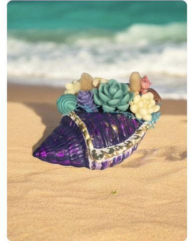 Κοχύλι κερί