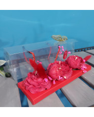 Κουτί Δώρου με παιώνιες